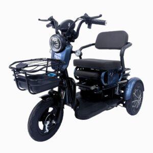 EZYGO PMA Z1: High-Capacity Personal Mobility Aid | 48V 350W Motor | 250KG Max Load